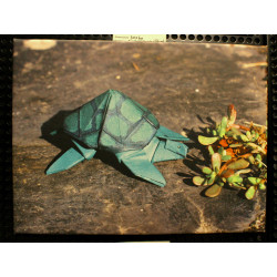Toile tortue origami