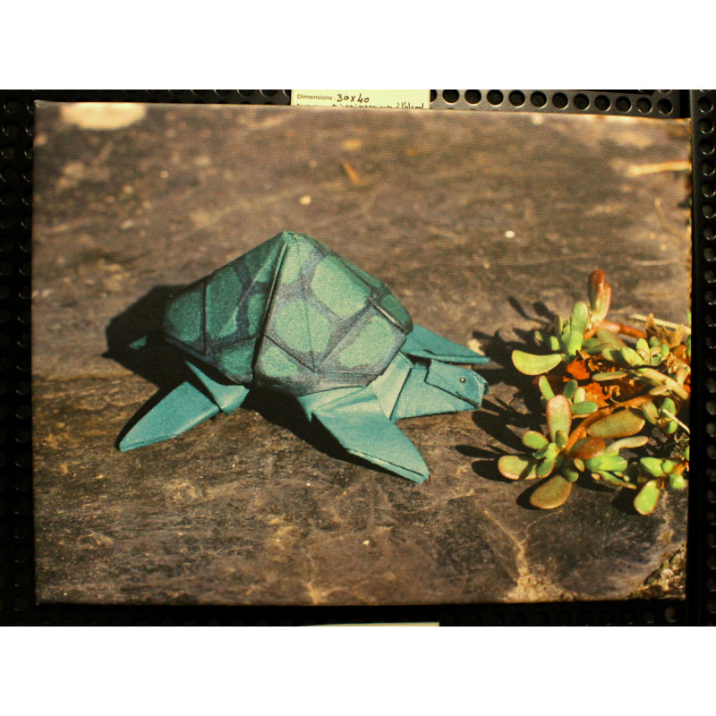 Toile tortue origami