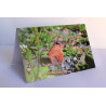 Carte marmotte origami