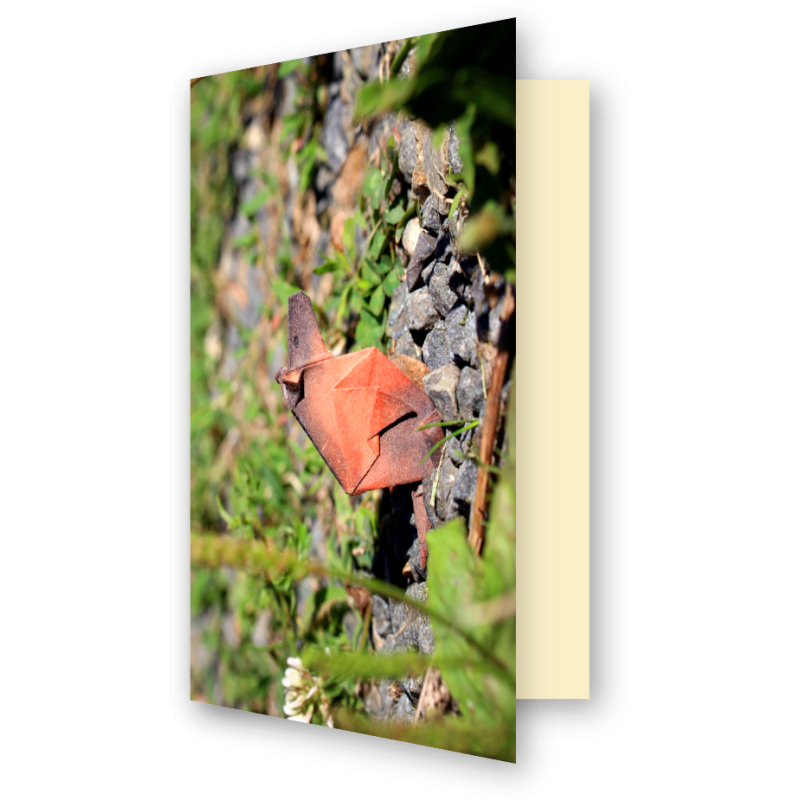 Carte marmotte origami