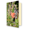 Carte marmotte origami