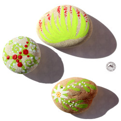 Galet peints décoratifs