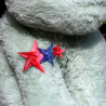 Broche étoilée