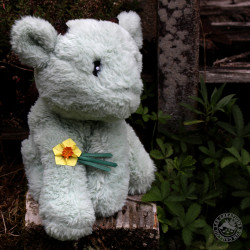 Broche jonquille avec feuilles