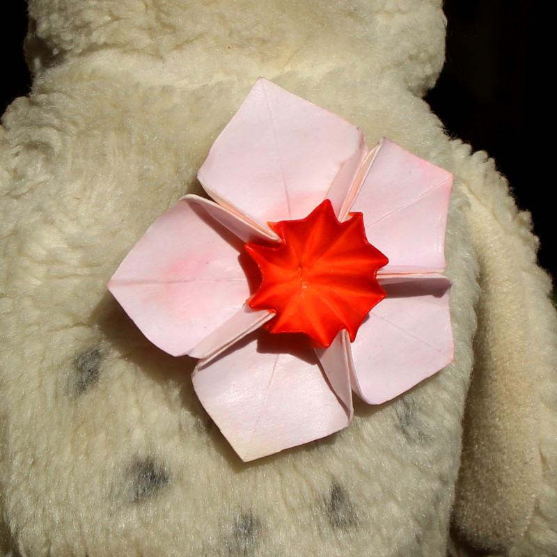 Broche jonquille rose