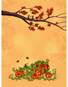 Créations automnales