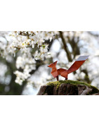 Créations printanières